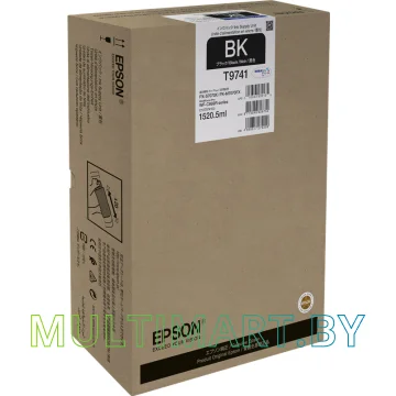 Чернила Epson C13T974100